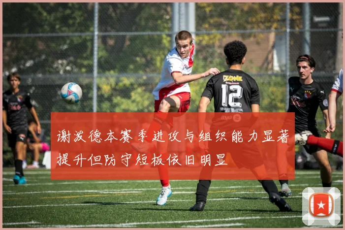 谢泼德本赛季进攻与组织能力显著提升但防守短板依旧明显